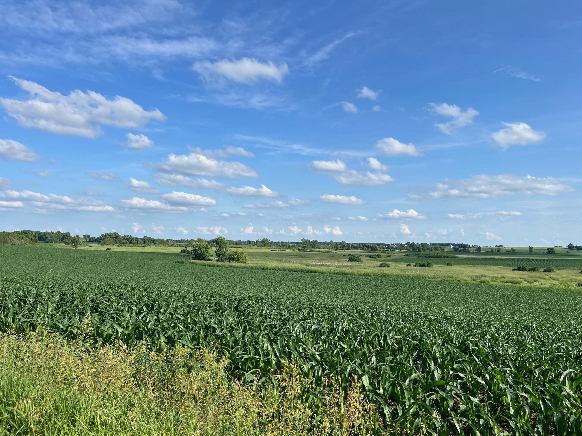 63-acres Meek Arlington, WI 53911 - Photo 7 of 13