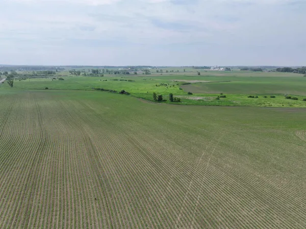 $1,300,000 | 63-acres Meek, Arlington, WI 53911