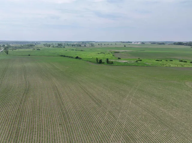 $1,300,000 | 63-acres Meek, Arlington, WI 53911