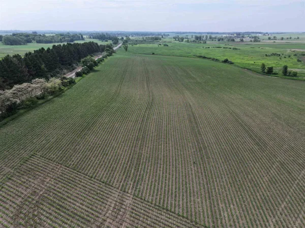 $1,300,000 | 63-acres Meek, Arlington, WI 53911