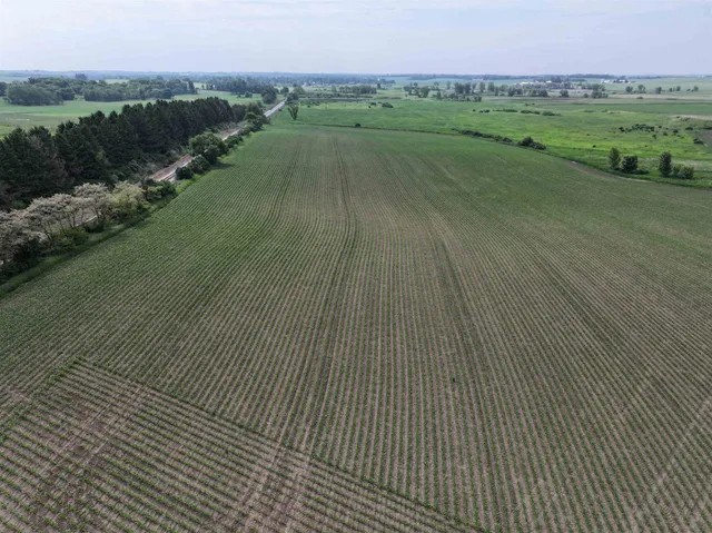 $1,300,000 | 63-acres Meek, Arlington, WI 53911
