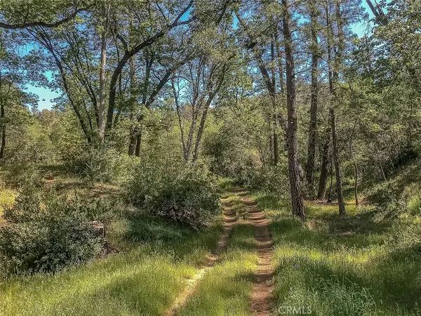 $399,000 | 4743 Buffalo Gulch Road, Midpines, CA 95345