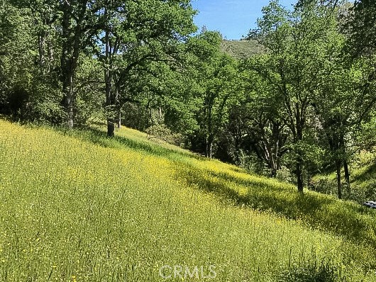4743 Buffalo Gulch Road Midpines, CA 95345 - Photo 4 of 43