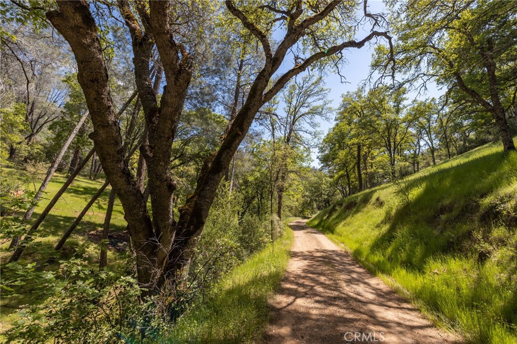 4743 Buffalo Gulch Road Midpines, CA 95345 - Photo 41 of 43