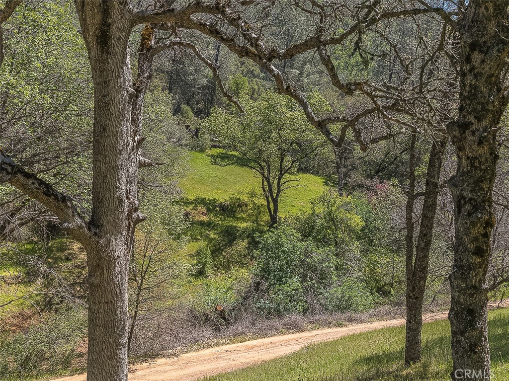 4743 Buffalo Gulch Road Midpines, CA 95345 - Photo 6 of 43