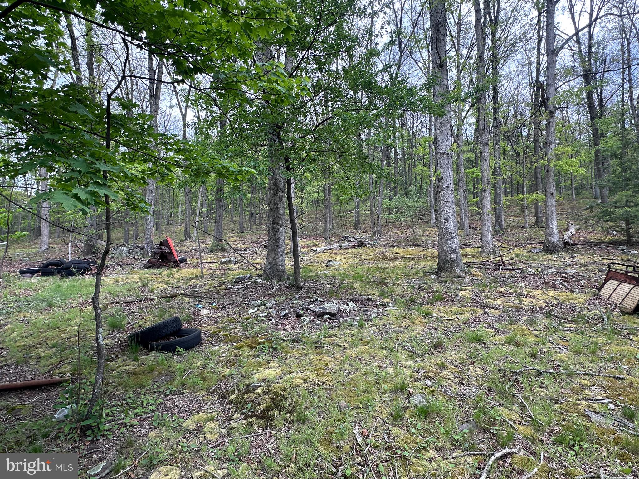 0 Cut Off Road Keyser, WV 26726 - Photo 8 of 11 a view of entertaining space