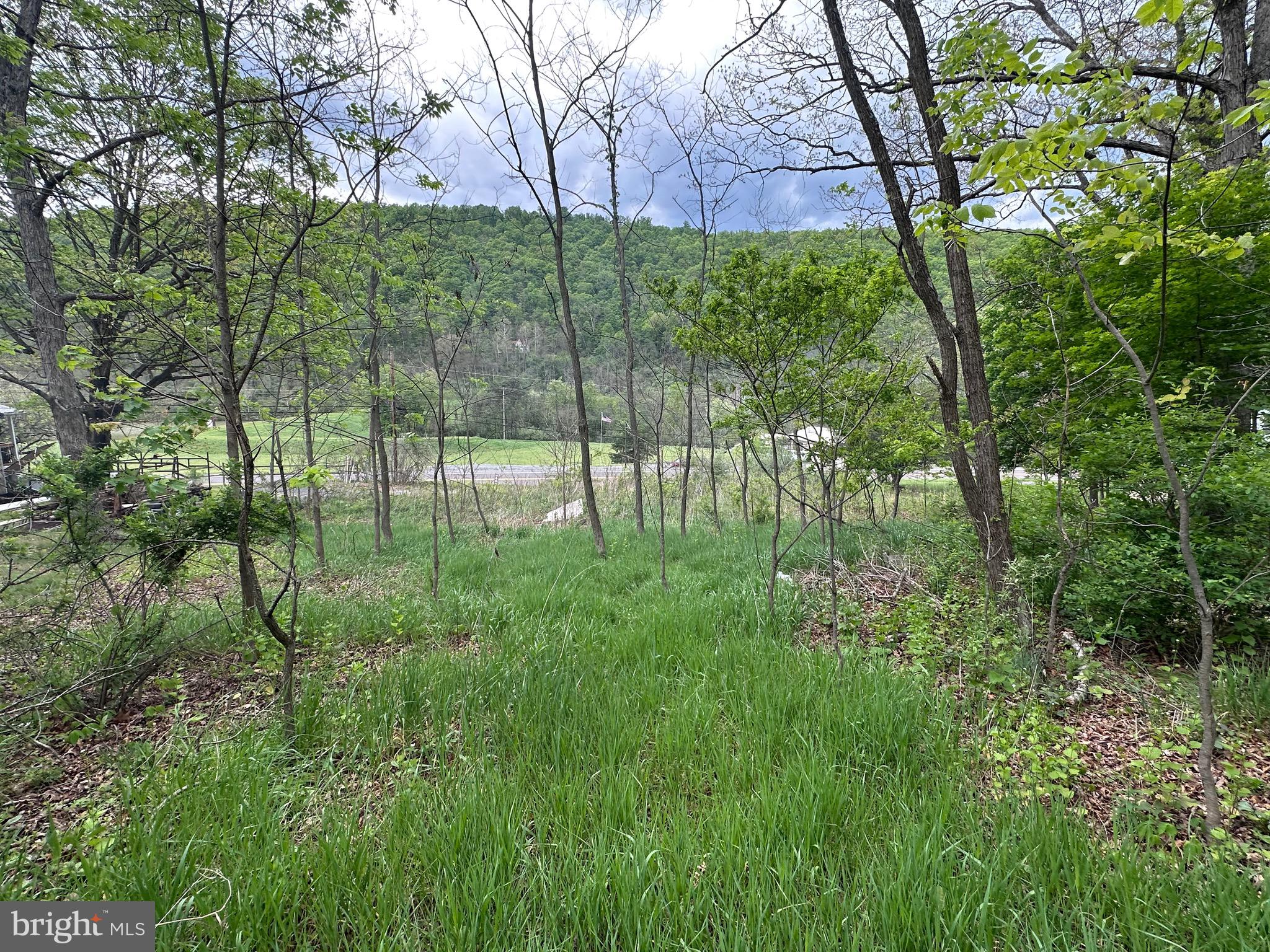 0 Cut Off Road Keyser, WV 26726 - Photo 9 of 11 a view of garden