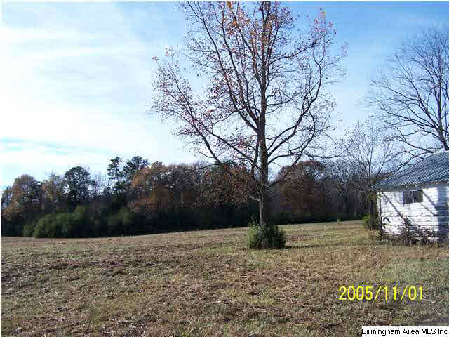 281 Timmerman Road Blountsville, AL 35031 - Photo 4 of 9