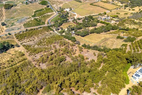 a view of a yard of the plants and small trees