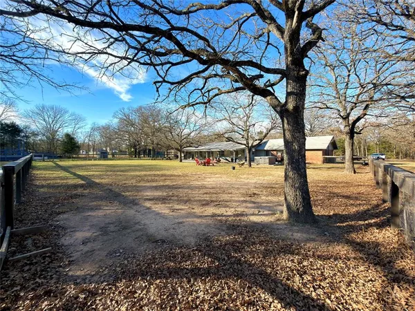 a view of a yard with an tree