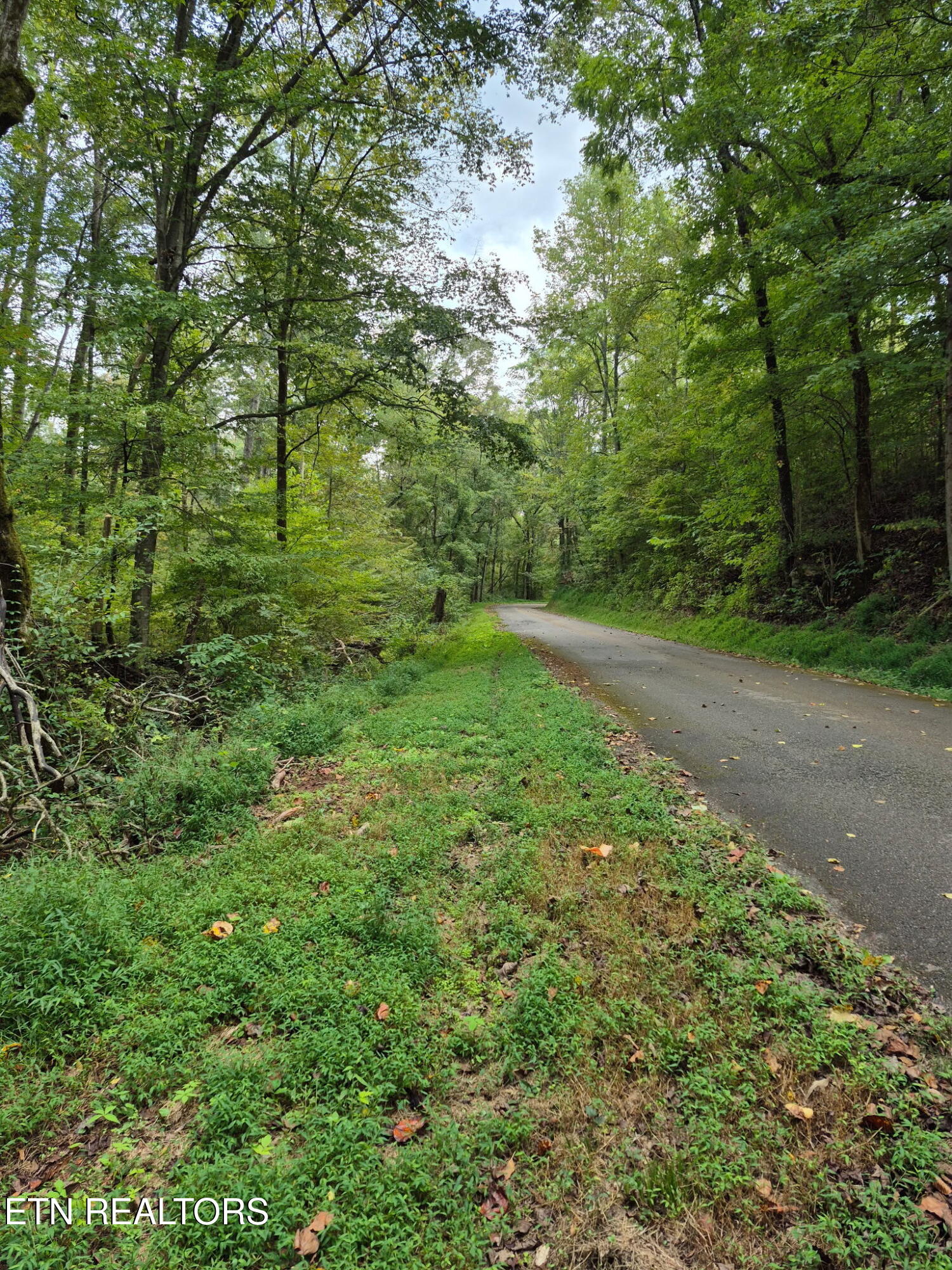 253 Old Christianburg Road Madisonville, TN 37354 - Photo 5 of 32 5692