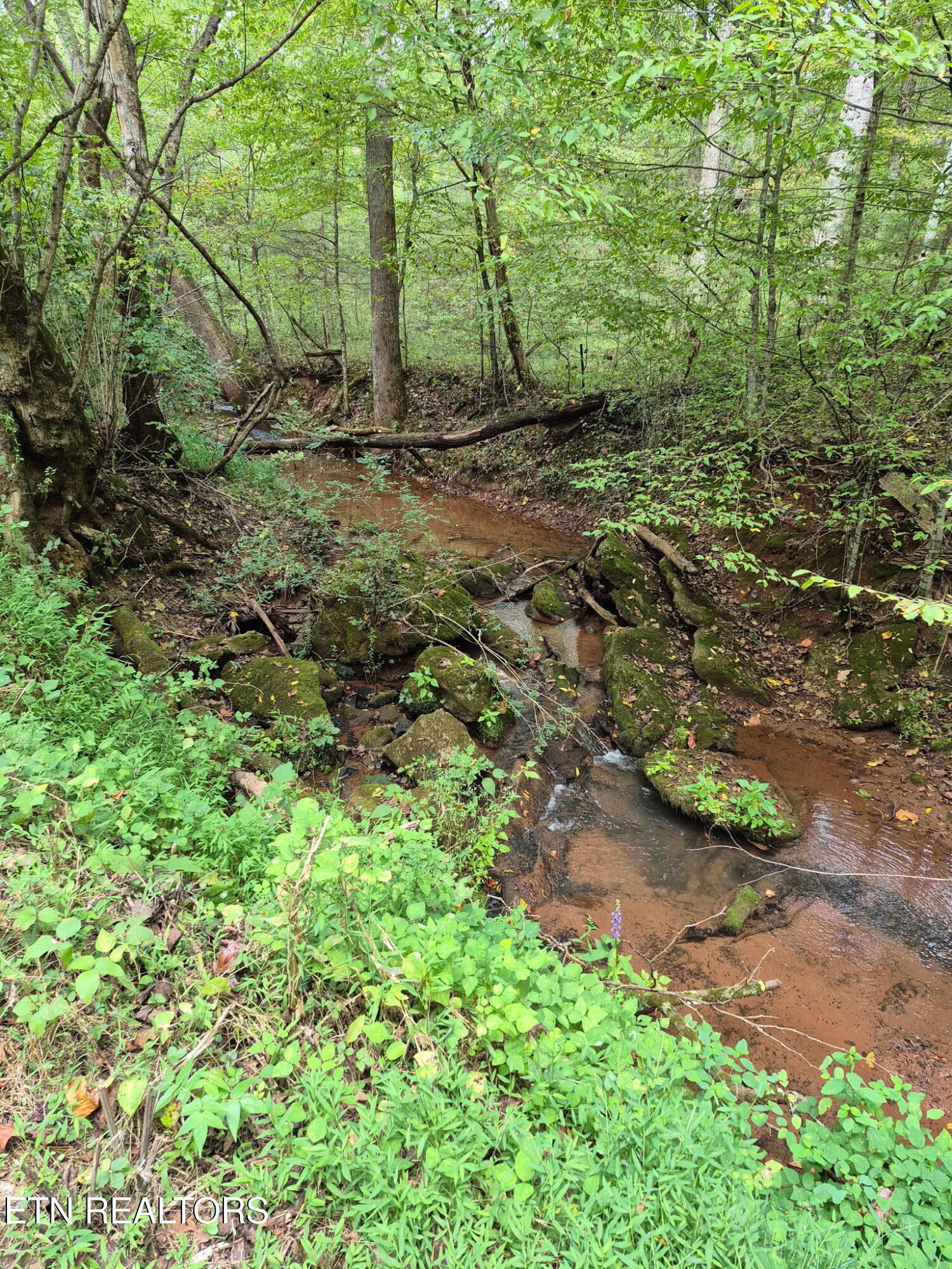 253 Old Christianburg Road Madisonville, TN 37354 - Photo 6 of 32 5693