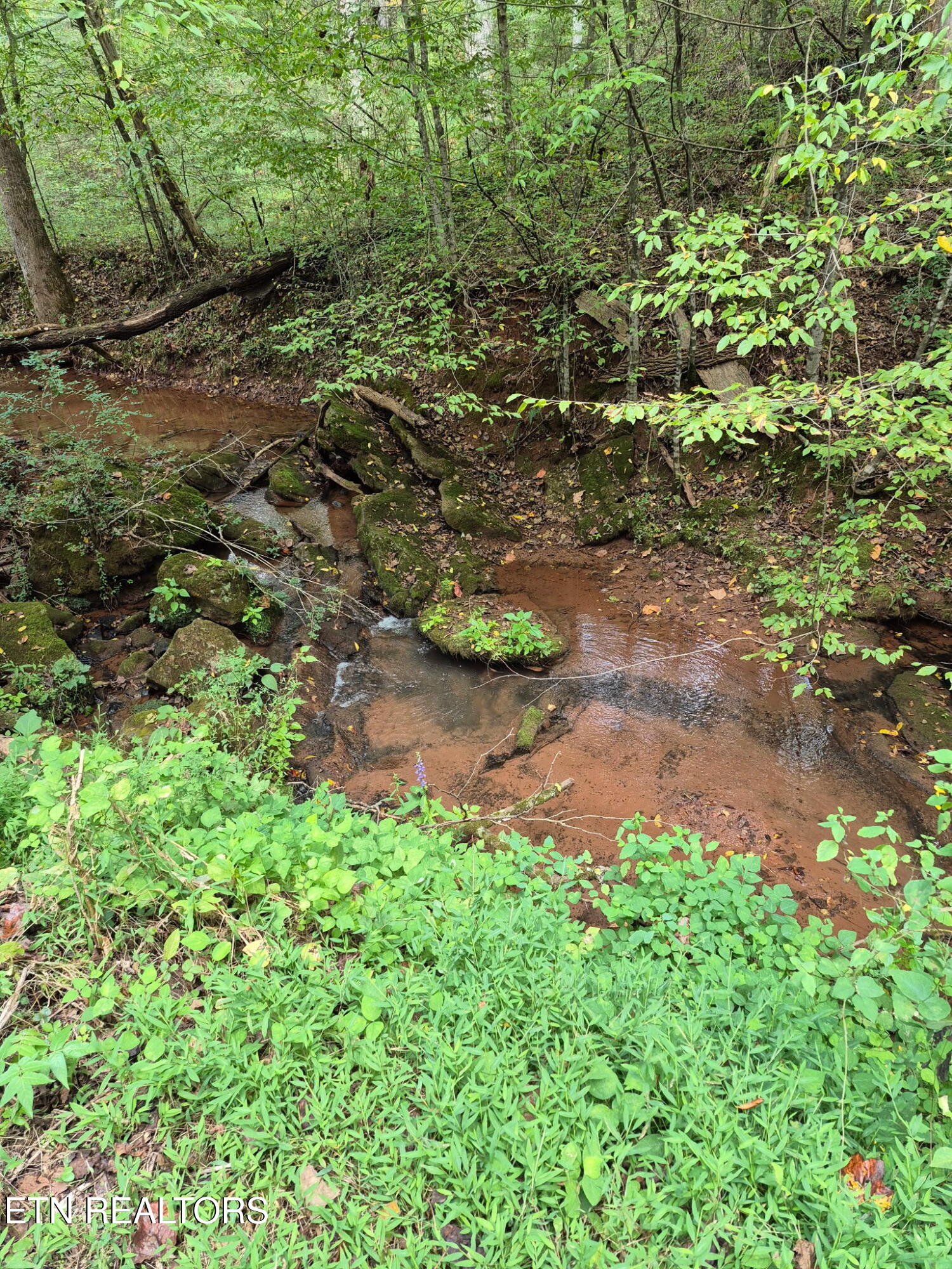 253 Old Christianburg Road Madisonville, TN 37354 - Photo 7 of 32 5694