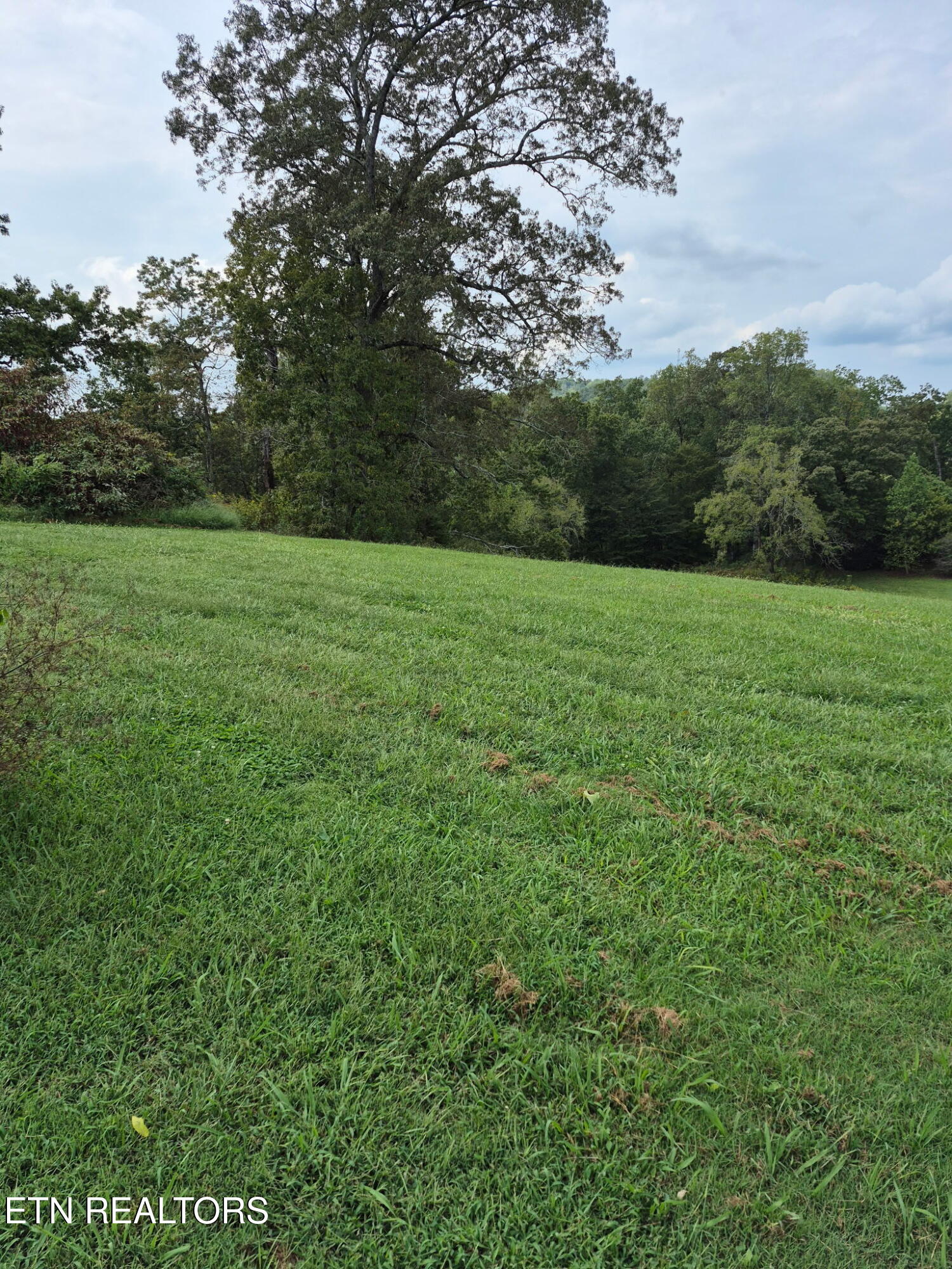 253 Old Christianburg Road Madisonville, TN 37354 - Photo 9 of 32 IMG_20251014_085851 (4)