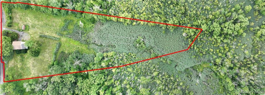 31-37 Scotland Hill Road Spring Valley, NY 10977 - Photo 4 of 4 a close up of a lush green forest with lots of plants and trees