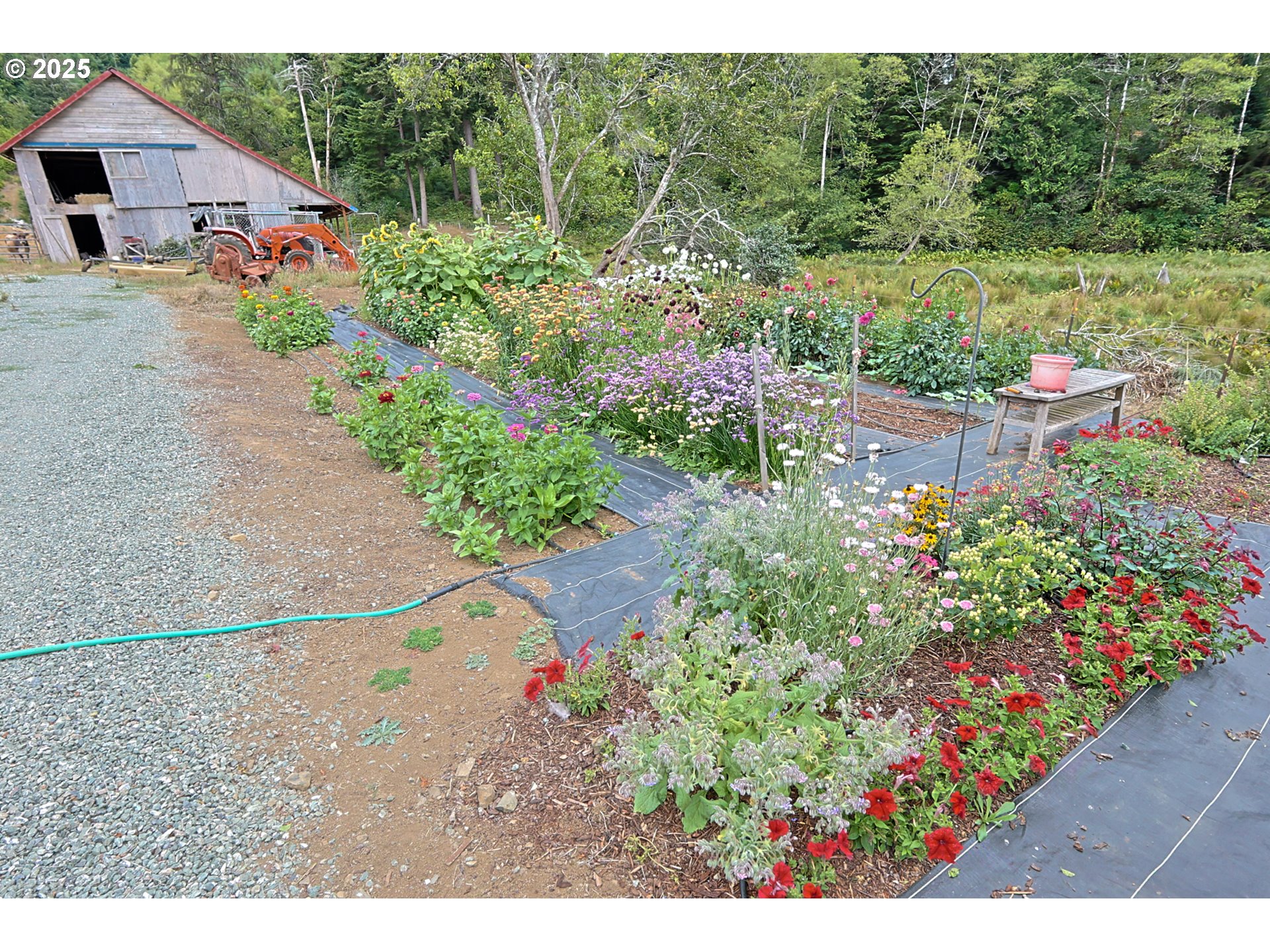 58894 Old Railroad Grade Road Coquille, OR 97423 - Photo 38 of 48