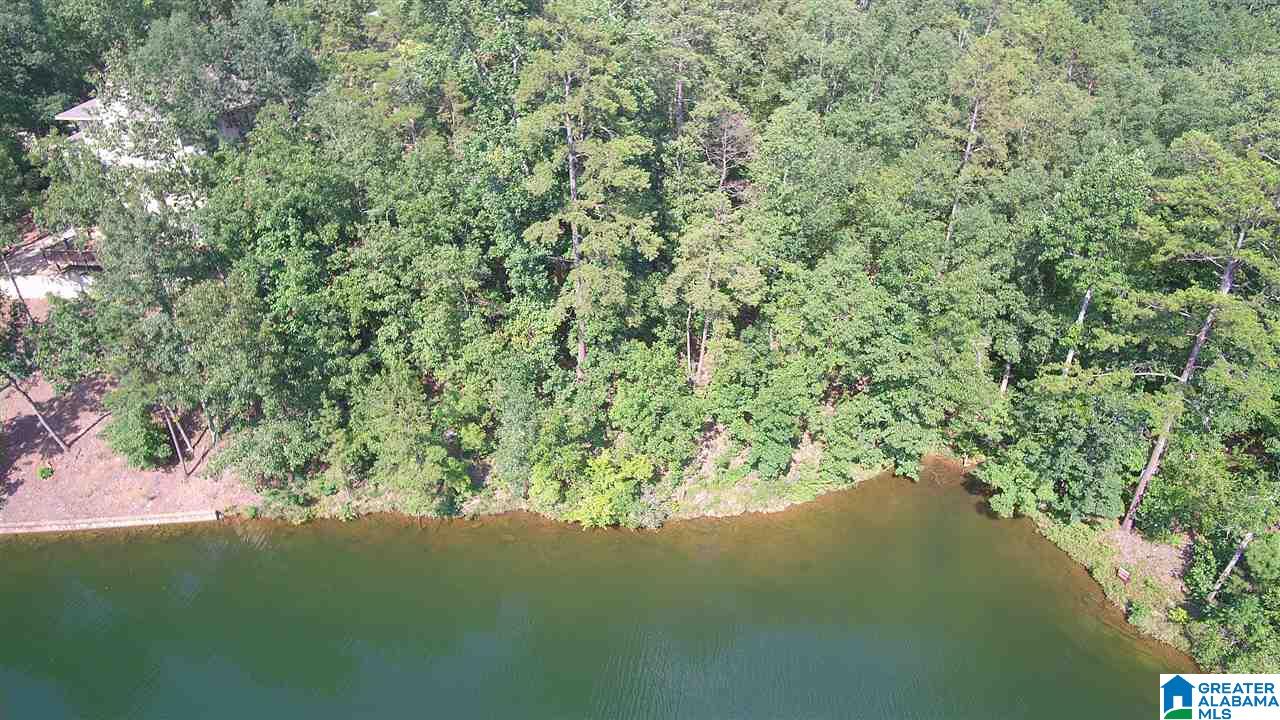Lot 12 Dogwood Ridge, Unit 12 Wedowee, AL 36278 - Photo 3 of 4