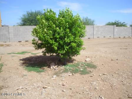 1639 West Irvine Road Phoenix, AZ 85086 - Photo 51 of 61 Back 6