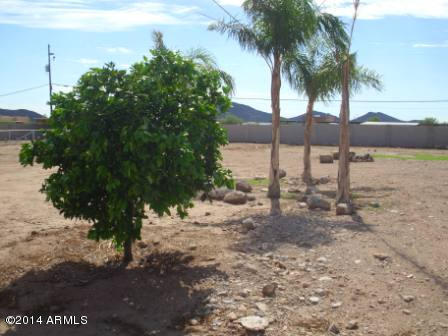 1639 West Irvine Road Phoenix, AZ 85086 - Photo 52 of 61 Back 7
