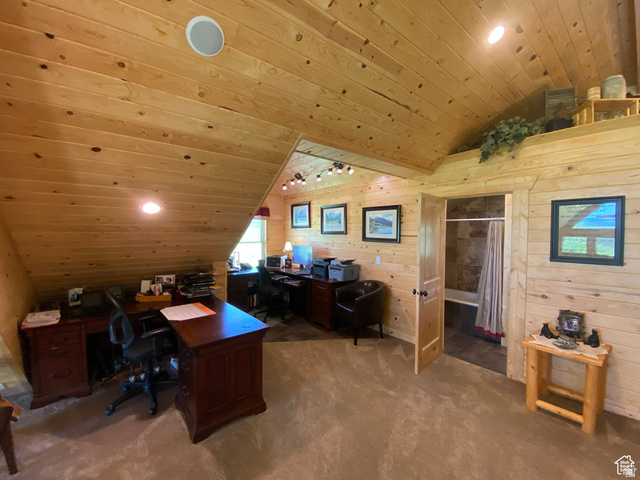 79 Auburn Forest Road Auburn, WY 83111 - Photo 42 of 76 Office space featuring wooden ceiling, carpet flooring, wood walls, and rail lighting