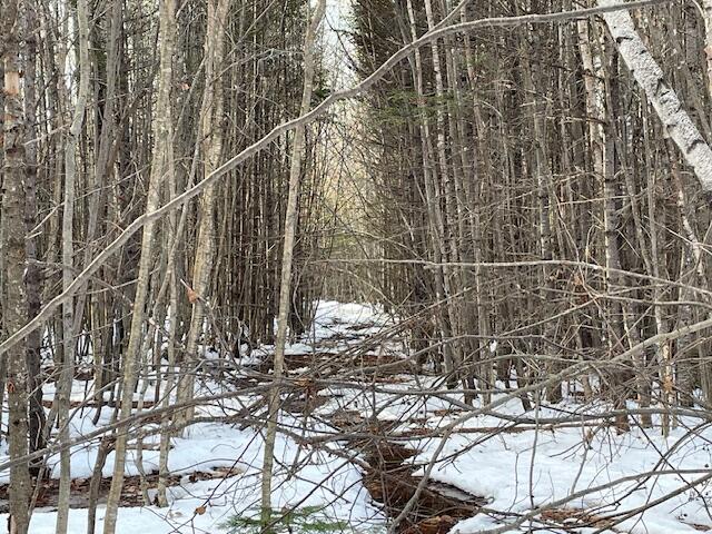 M7-l4 Ward Ridge Road Wellington, ME 04942 - Photo 8 of 14 IMG_8638
