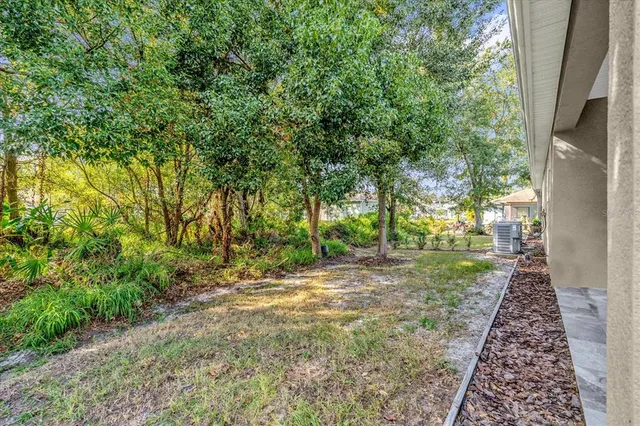 a view of a backyard with tree s