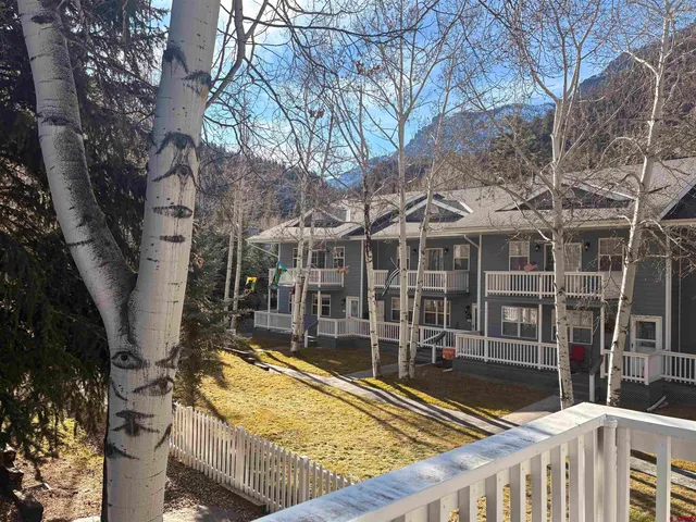a view of a house with a yard and a large tree