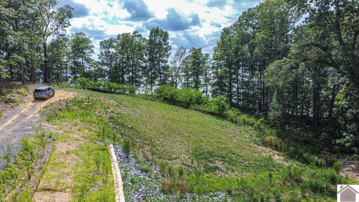0 Eagle Rst Drive Grand Rivers, KY 42045 - Photo 20 of 27 Gentle Sloping Lots