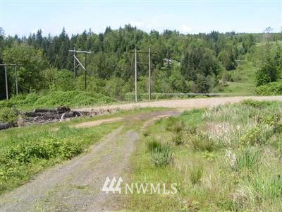 1024 Fishpond Road Kelso, WA 98626 - Photo 1 of 1 Gallery Image 1