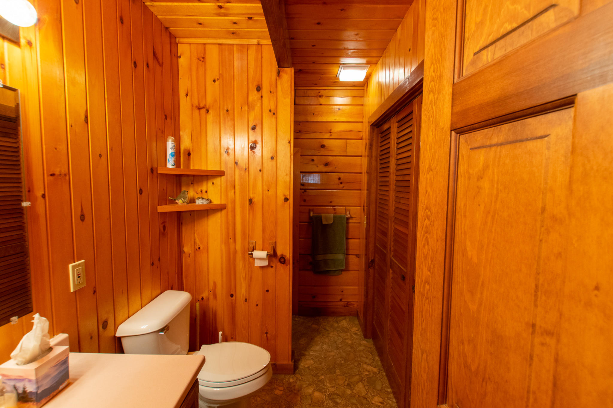 46 Coldstream Lane Lowell, ME 04493 - Photo 12 of 24 DSC_3858