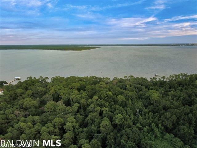 10346 County Road 99 Lillian, AL 36549 - Photo 7 of 11