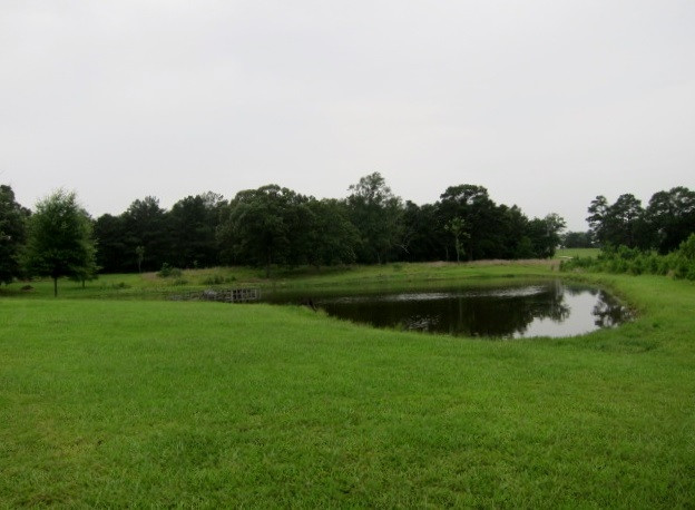 15602 Midway Road Terry, MS 39170 - Photo 12 of 50 Photo 12