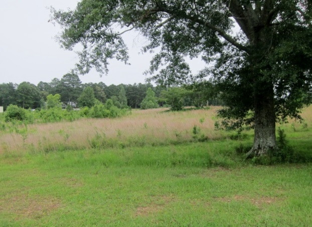15602 Midway Road Terry, MS 39170 - Photo 13 of 50 Photo 13