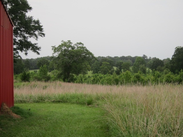 15602 Midway Road Terry, MS 39170 - Photo 17 of 50 Photo 17