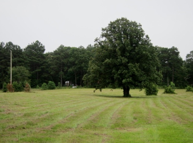 15602 Midway Road Terry, MS 39170 - Photo 19 of 50 Photo 19