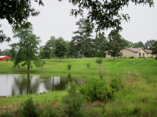 15602 Midway Road Terry, MS 39170 - Photo 6 of 50 Photo 6