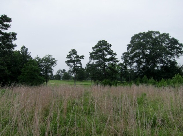 15602 Midway Road Terry, MS 39170 - Photo 7 of 50 Photo 7