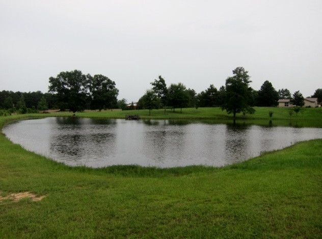 15602 Midway Road Terry, MS 39170 - Photo 8 of 50 Photo 8