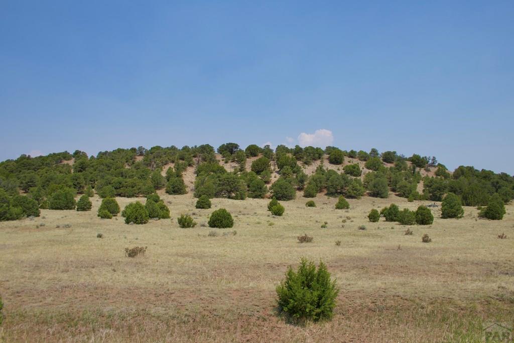 Unit #4 Unit Road Walsenburg, CO 81089 - Photo 14 of 36