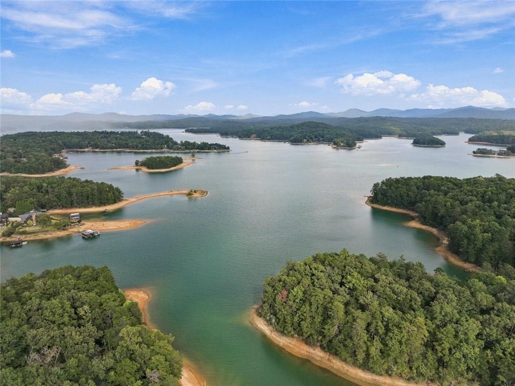 2124 Maxwell Road Blue Ridge, GA 30513 - Photo 48 of 49 Gallery Image 48