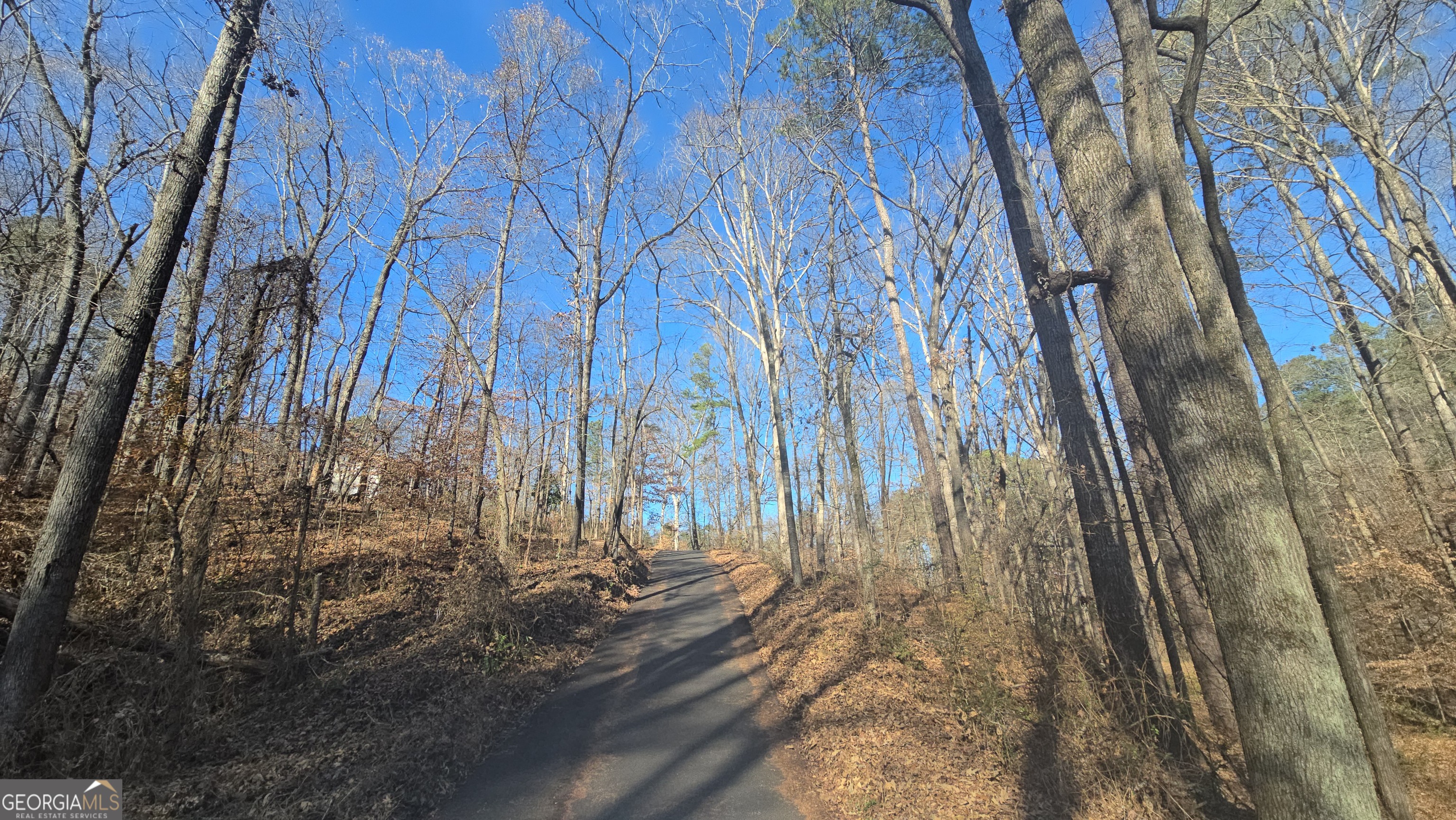 126 Puckett Road Southeast Emerson, GA 30137 - Photo 2 of 9 a view of a yard with street