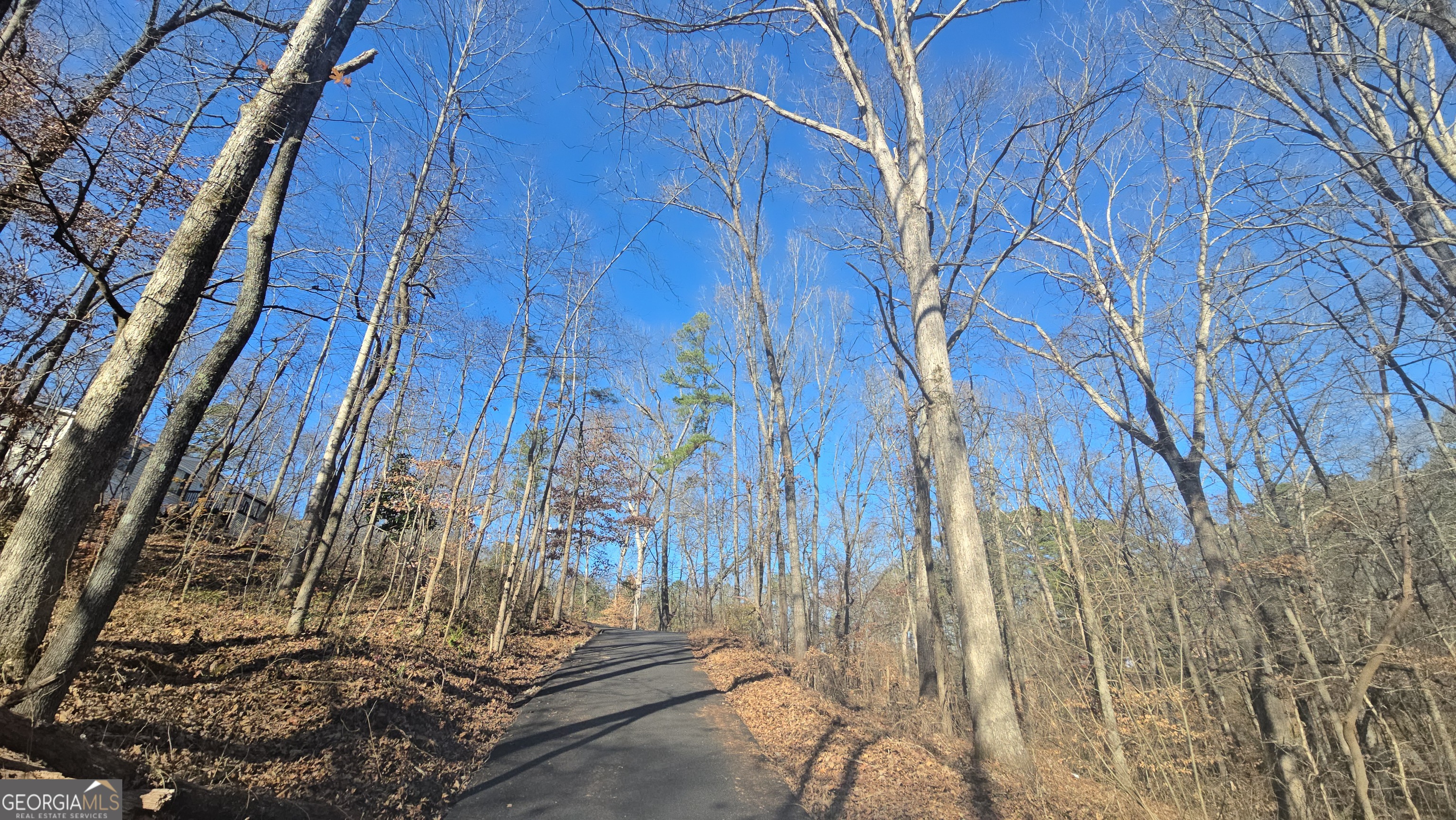 126 Puckett Road Southeast Emerson, GA 30137 - Photo 3 of 9 a backyard of a house