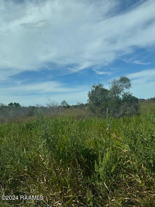 South Talens Landing Road Gueydan, LA 70542 - Photo 3 of 6 1000005982