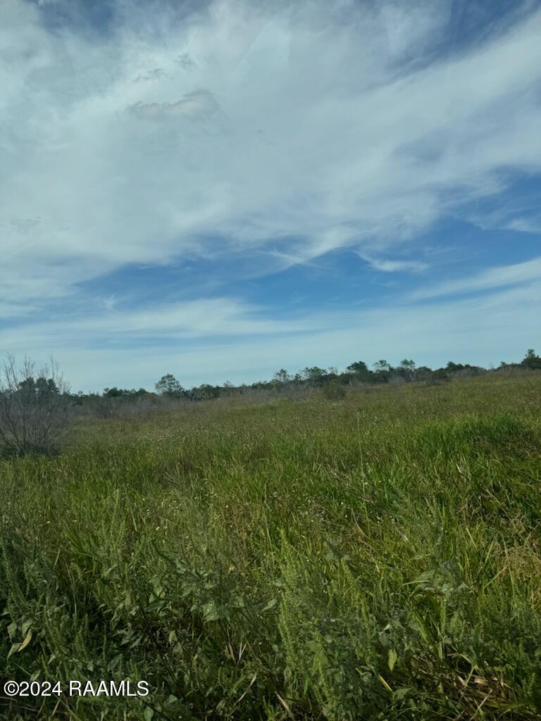 South Talens Landing Road Gueydan, LA 70542 - Photo 4 of 6 1000005981