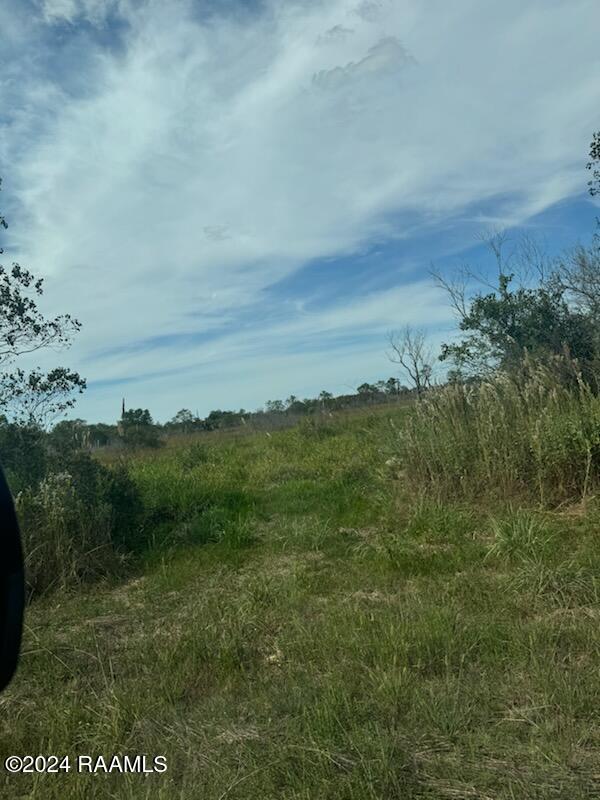 South Talens Landing Road Gueydan, LA 70542 - Photo 5 of 6 1000005980