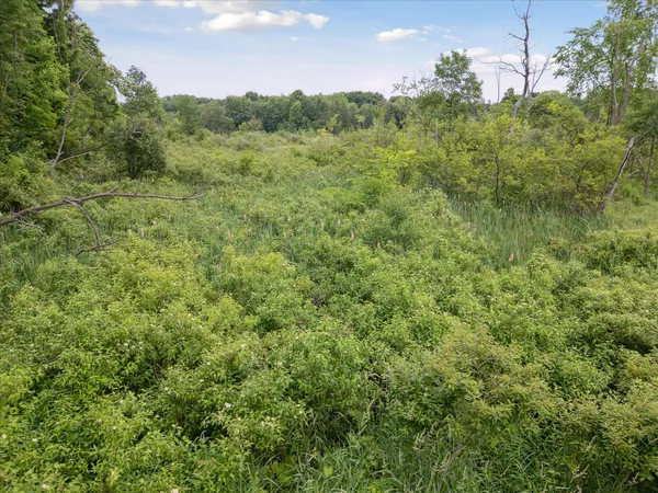 $348,000 | Vl Douglas Avenue, Plainwell, MI 49080
