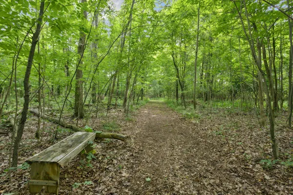 $348,000 | Vl Douglas Avenue, Plainwell, MI 49080