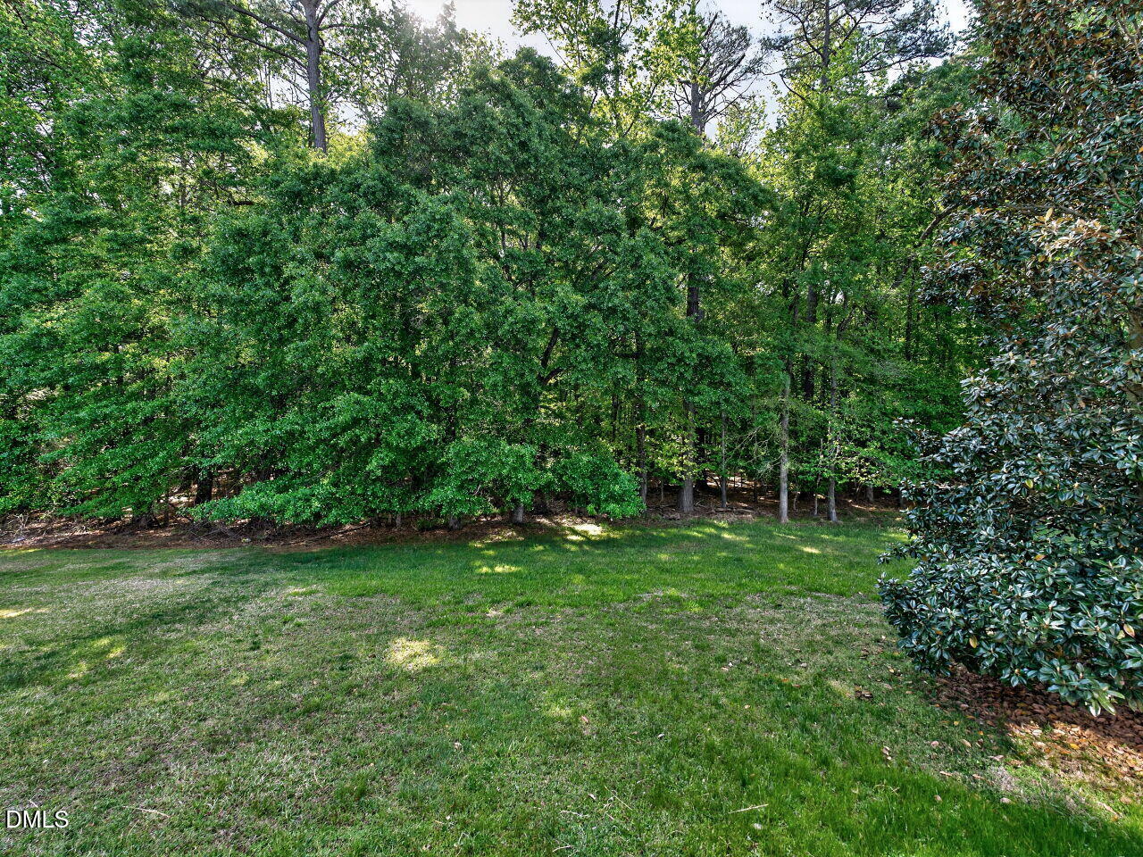 6232 Big Sandy Drive Raleigh, NC 27616 - Photo 37 of 39 a green field with lots of bushes