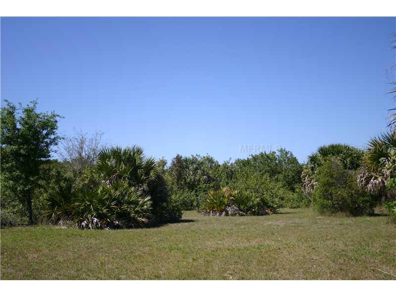 Land/Lot - Trees and Palms onsite
