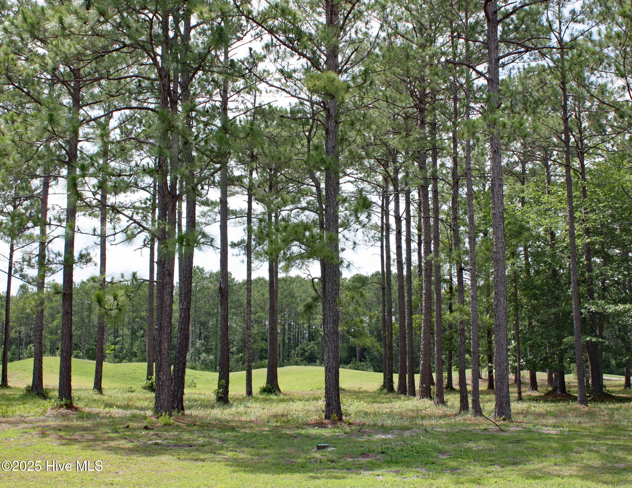 6247 Castlebrook Way Southwest Ocean Isle Beach, NC 28469 - Photo 2 of 36 Castlebrook Way Homesite